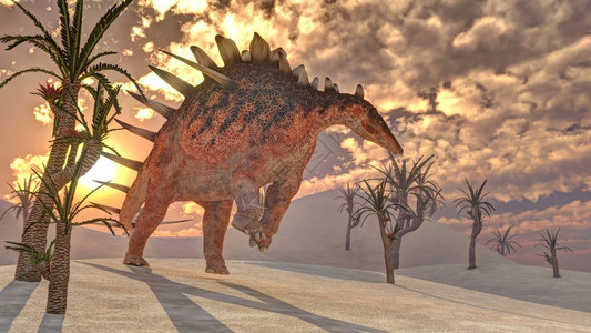 灭绝自然日落前在威利安森亚树旁的沙丘上行走一头金龙恐3D变成巨龙恐3D风景优美图片
