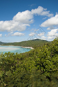 夏天白色的Whitsunday群岛白港海滩的景色令人惊艳伟大的图片