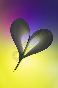 紫色的折叠背面纸抽象心脏形状西贝作为墙纸浅深的田地背光图片