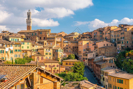 夏天意大利的锡耶纳市中心天线镇旅行图片