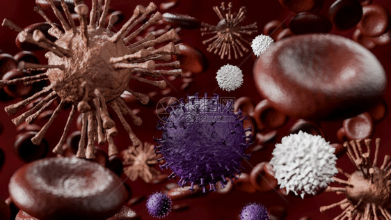 微生物学冠状非典带有红细胞和白的Covid19或CoronaVirus20193D渲染图片