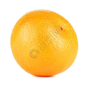 完美的新鲜橙红文白色背景上孤立无遗新鲜普通话蔬菜图片