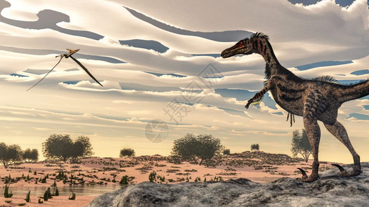 日落光下用尼帕和塔马里斯植物在沙漠中与尼帕和塔马里斯植物一起飞行的观测地极野恐龙的电磁猛禽3D使巨兽恐龙变成3D白垩纪灭绝古生物背景图片