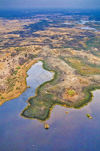 生物群落绿奥卡万戈湿地三角洲教科文组织世界遗产地点拉姆萨尔韦特兰博茨瓦纳非洲保护图片