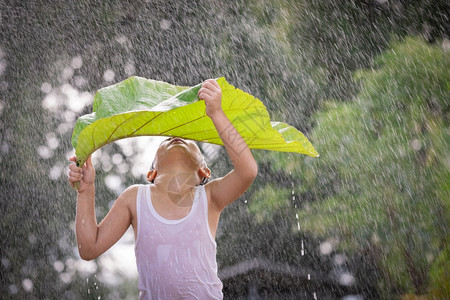 常设男孩微笑玩得开心站在她的头上叶子在雨中站立生产季节图片
