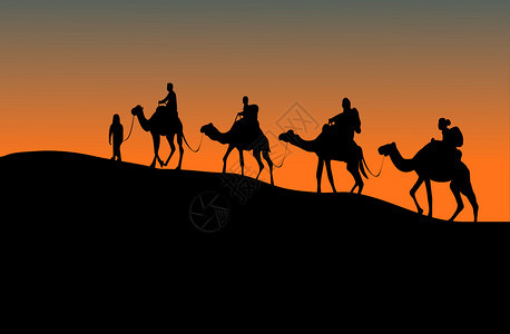 4名骑骆驼的手月光下山和日落背景橙男人夏天图片