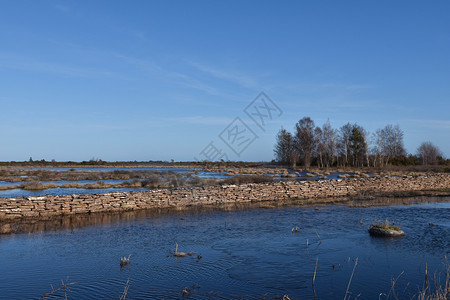 在瑞典群岛奥兰的春季前淹没了大片草原等级春天墙背景图片