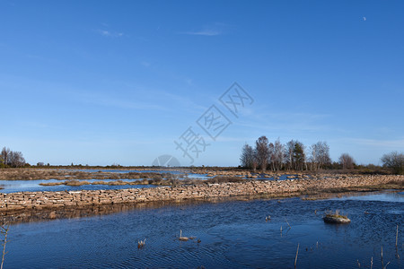墙高的蓝色在瑞典群岛奥兰的春季前淹没了大片草原图片