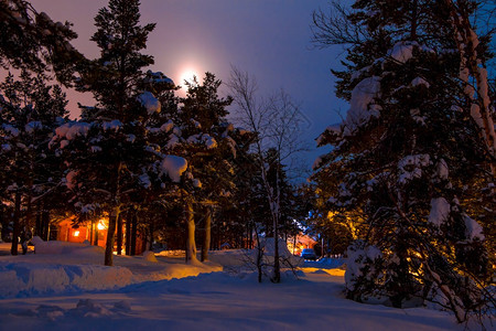 霜在冬季森林中露营大量的雪夜光照和月亮在微薄的天空月亮下在冬季森林中露营冷杉下雪的图片