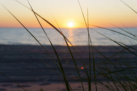 海滩北沙和日落通过草海沙和日落从草下到橙图片