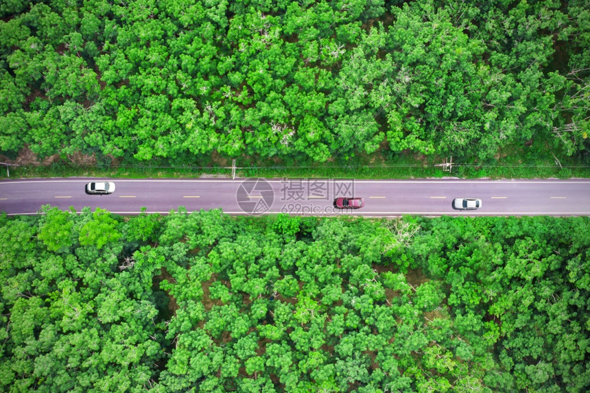 路过森林的公空中视线有一辆汽车经过森林草植物景观图片