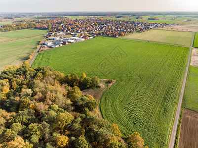 德国北部一个村庄后面的田地和草原之间的一小片林空中观察了这片小森林多于高的农民图片