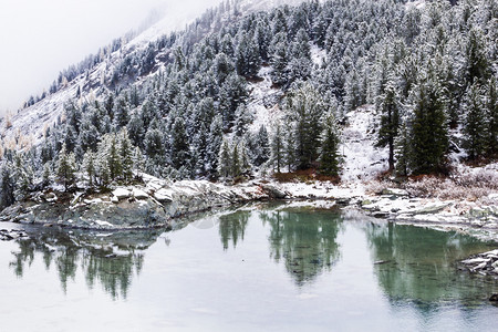 树天气冬湖山岸边针叶林中的雪图片