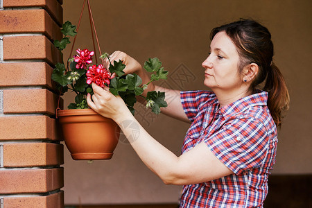 园丁在花盆里安排朵的女人挂在院子里的Candid人身上真实的时刻情况园艺人们图片