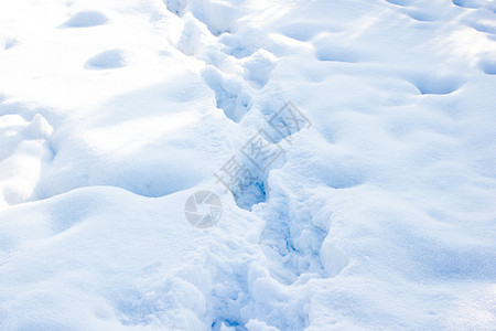 霜自然冬季足迹雪中的道路乡村图片