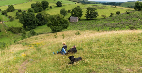 在德尔比郡峰地区山坡上一男女和条狗坐在山坡上字段灰色的羊图片