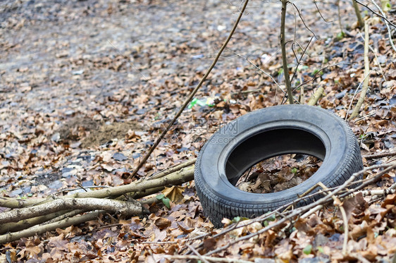 浪费土壤森林中的轮胎地面上子林中汽车轮胎橡胶图片