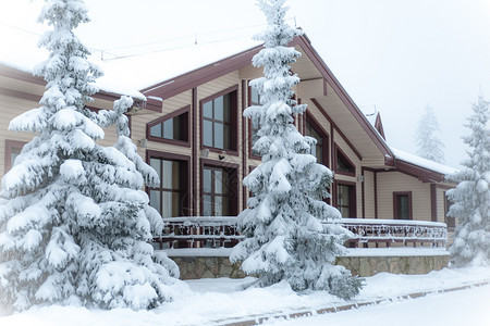 户外霜美丽的冬季森林和被雪覆盖的房屋地风景中的松树林和公园图片