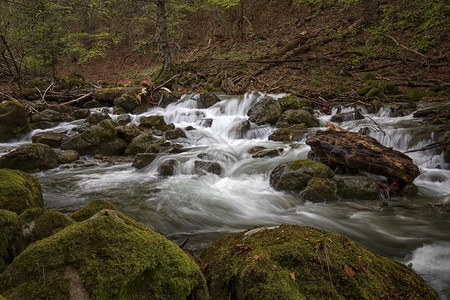 河流中水和森林岩石的美丽长光透视旅行冒险溪流图片