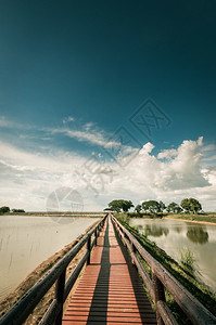 浮桥旅游景观蓝色天空地貌的浮龙桥图片