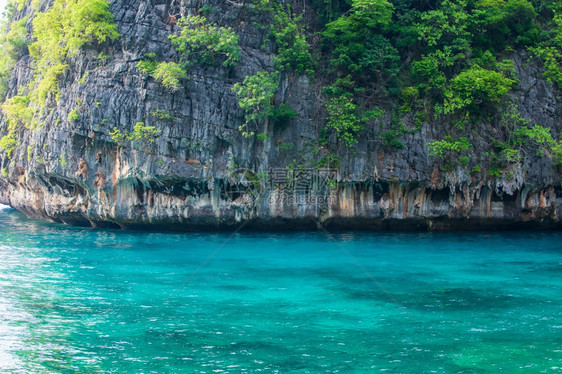 椰子海度假村泰国克拉比省PhiPhi度假胜地热带岛屿泰国Krabi省图片
