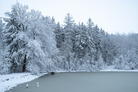 木头圣诞节坝森林中的雪树和冰冻池塘在林中图片
