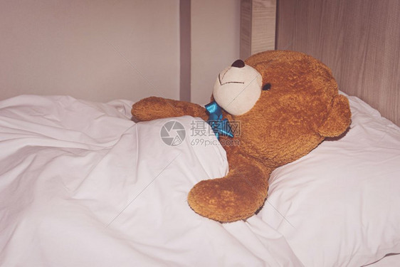 毯子动物泰迪熊躺在床上卧室图片