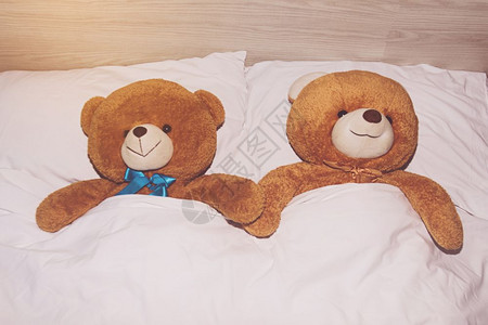 泰迪熊躺在床上舒适动物天图片