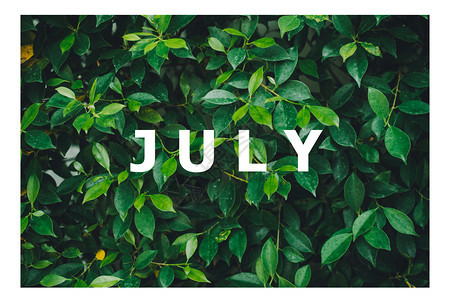 以天然绿叶背景设计日历月清单按自然绿叶背景设计植物笔记星期图片