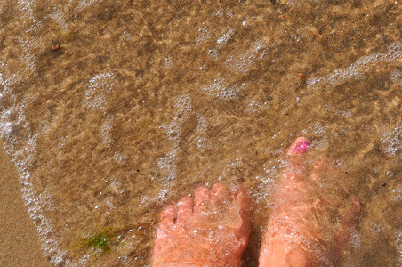 女人的脚在沙滩上海水中女人的脚在沙滩上旅行美丽的女士图片