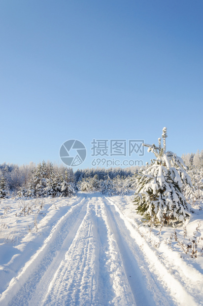 雪地乡村道路图片