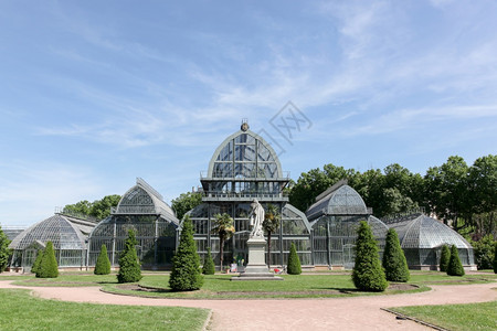 法国里昂LatteDor公园温室旅行玫瑰蓝色的图片