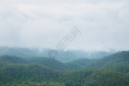 雨后山林云雾缭绕树风景天气图片