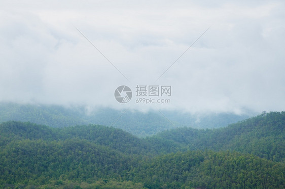 雨后山林云雾缭绕树风景天气图片