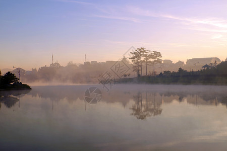 池塘山清晨大拉特城美丽的风景与雾中湖松树反射水紫色的风景这是越南旅行的浪漫之地笑声大叻图片