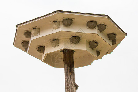 材料德国遮蔽天上有许多燕巢的洞穴庇护所图片