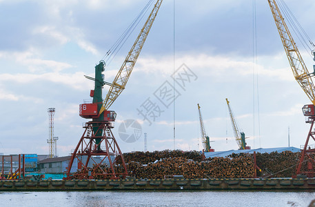 林业行商加里宁格勒渔港贸易口起重机木材运输加里宁格勒渔港贸易图片