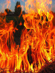 力量草在堡垒的野火中点燃烧的焰花图片