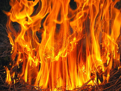 颜色抽象在堡垒的野火中点燃烧的焰花图片