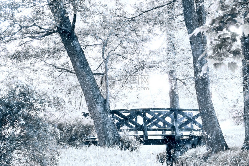 降雪树木农村公园自然大冬季风景第一场雪图片