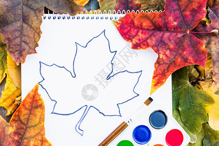 五颜六色的秋叶和油漆用于在白纸附近绘画有文字的地方背景有秋叶复制题字的空间学校概念五颜六色的秋叶和油漆用于在白皮书附近绘画有文字图片