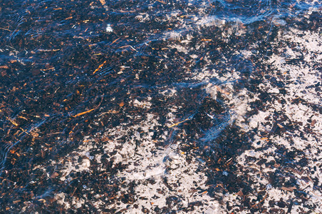 白色的黑河水下垃圾海水中的木头残留物海水中的木头残留物水下的黑色垃圾图片