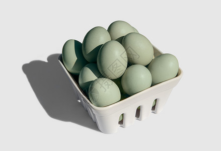 箱家禽蓝蛋或来自阿劳卡纳鸡的绿色蛋青或绿公鸡图片
