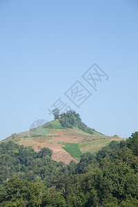 天空高山上的森林被破坏是砍伐树木来种田地的制作图片