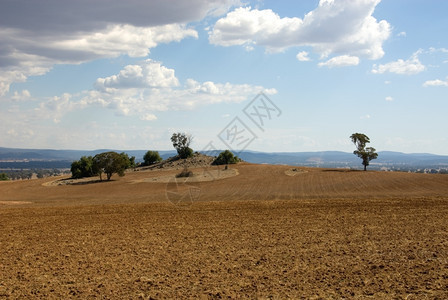 景观农业澳大利亚新南威尔士州中西部地区农场面积澳大利亚栽培的图片