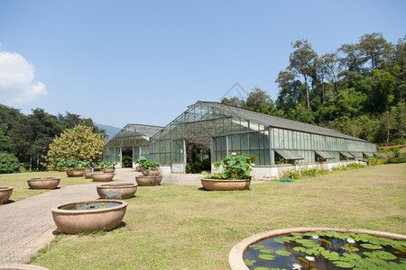 太阳场地在一个封闭的系统管理农田内进行植树造林活动栽培图片