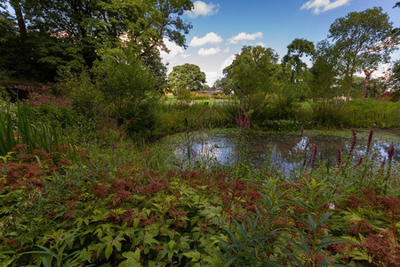 曼彻斯特希顿公园水池夏季下午有灌红植被英国紫色的云图片