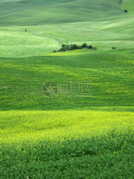 爬坡道农场绿色意大利皮恩扎附近典型的托斯卡纳风景图片