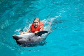 女孩与海豚一起游泳图片