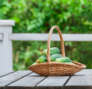 以自然背景为本的篮子中黄瓜以自然背景为本的篮子中黄瓜桌柳条生态图片